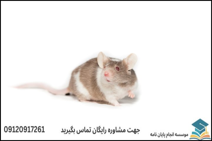 جدول مقایسه هزینه‌ها بر اساس نوع روش پژوهش